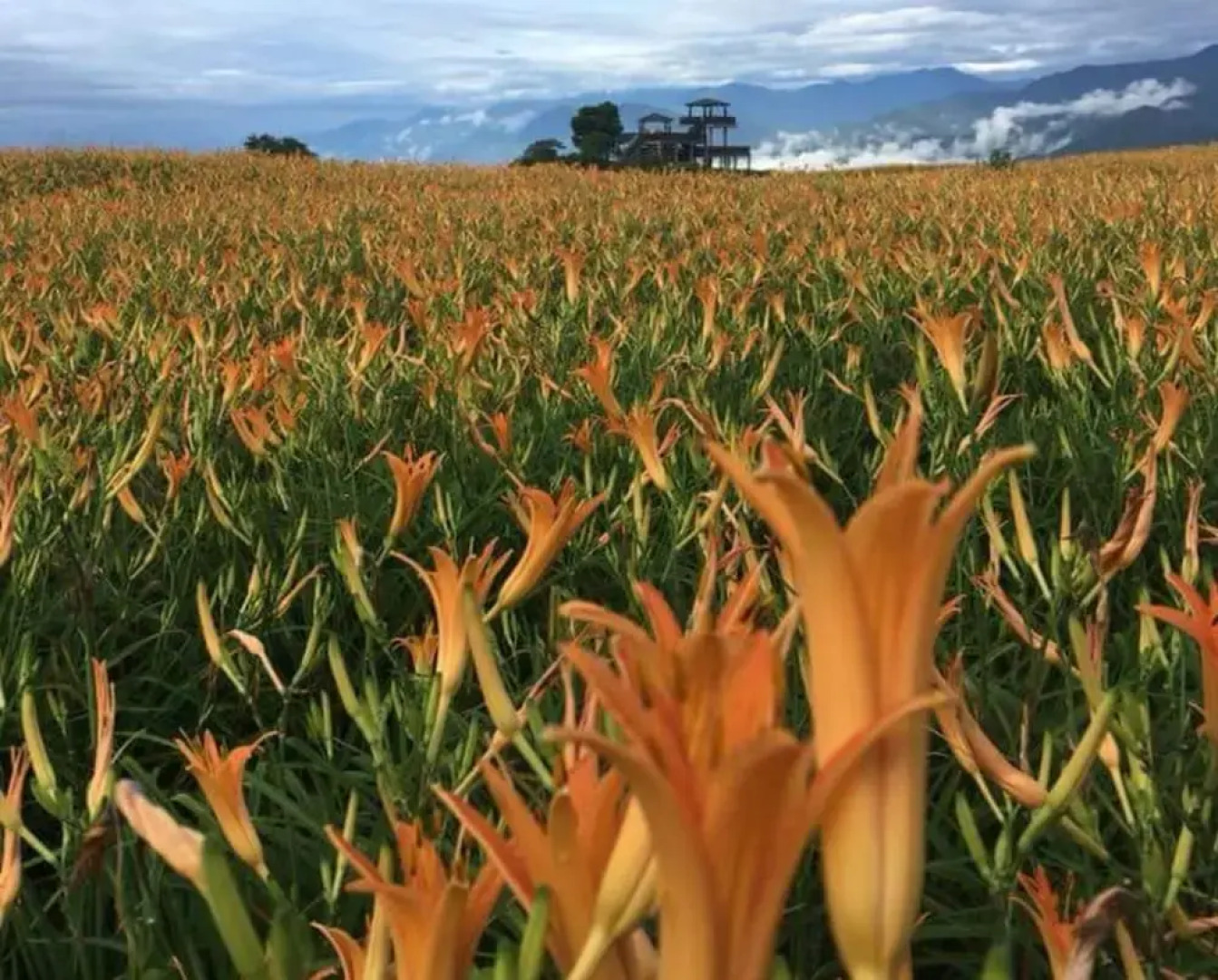 Mt. River View & Waterfall Lodge