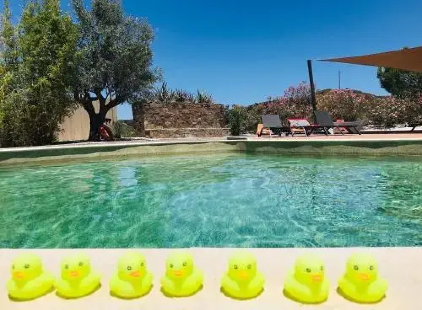 Casa Paz do Barrocal