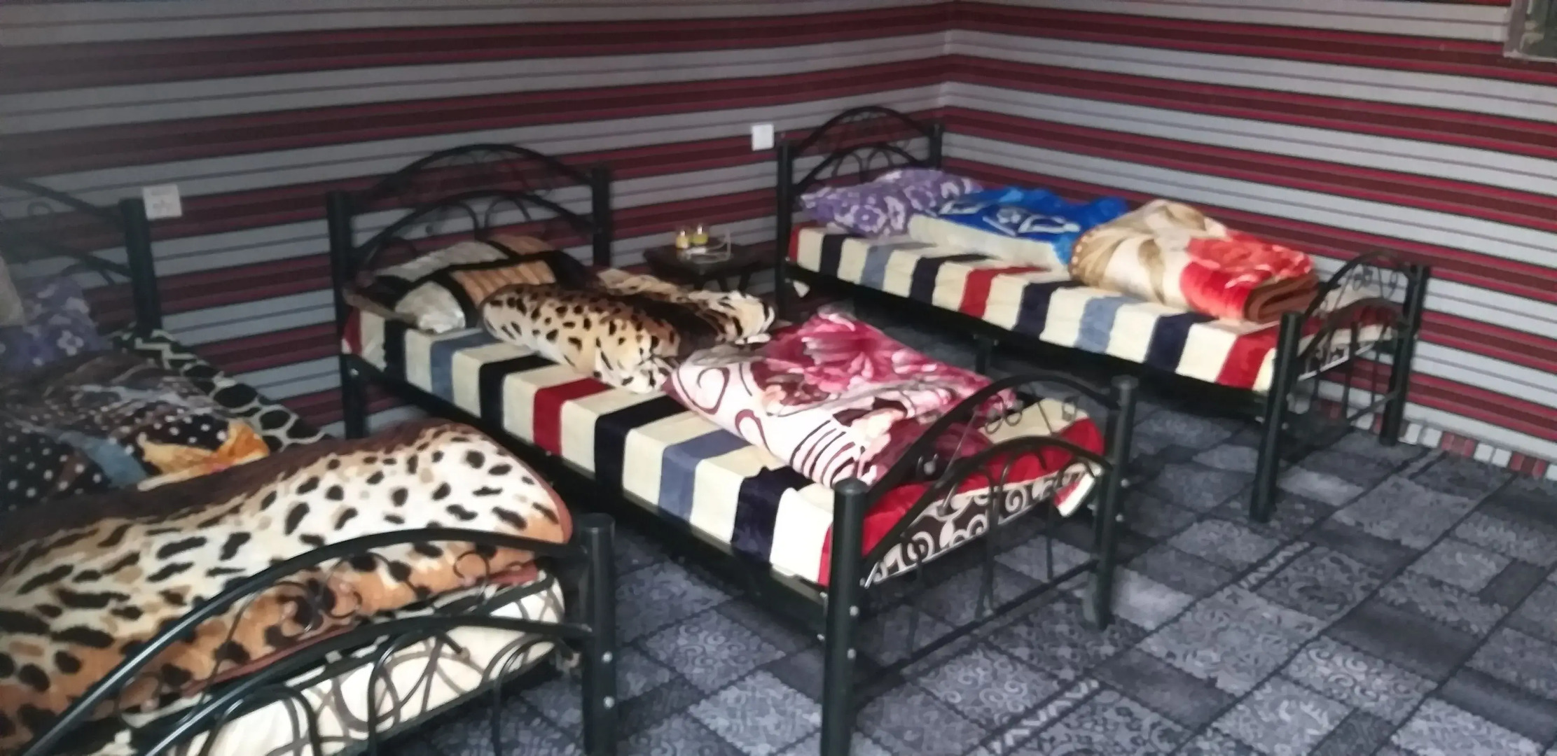 Wadi Rum Stars Hostel