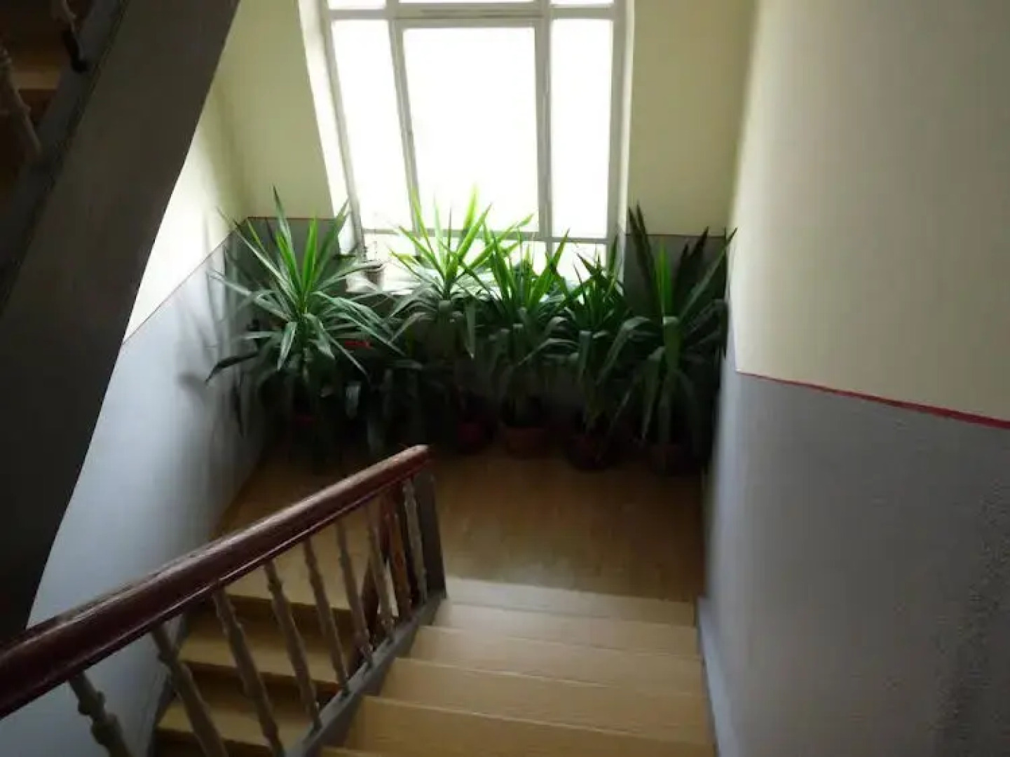 Haus99 Heiligenstrasse