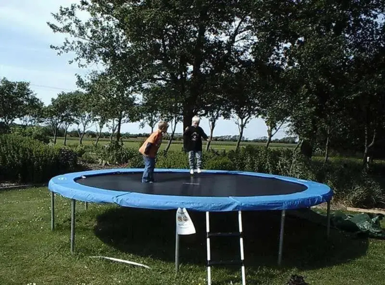 Wohnung-Schwalbennest