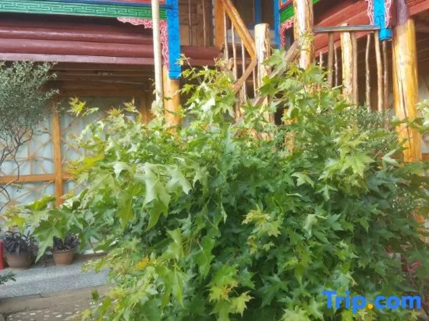 Mulengfang Boutique Inn