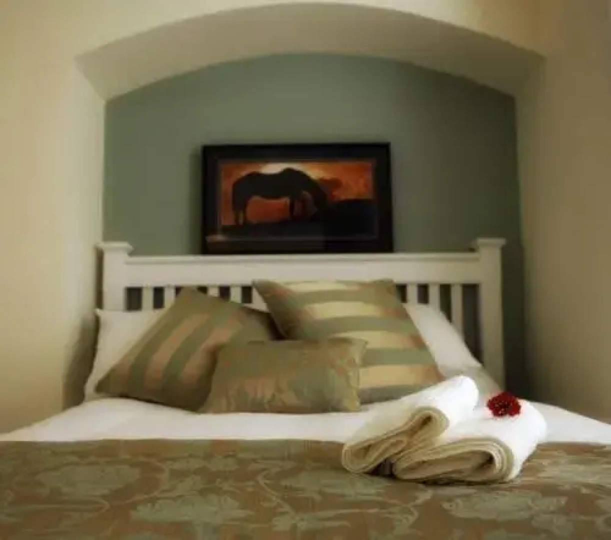 Blackcat (Adults only)