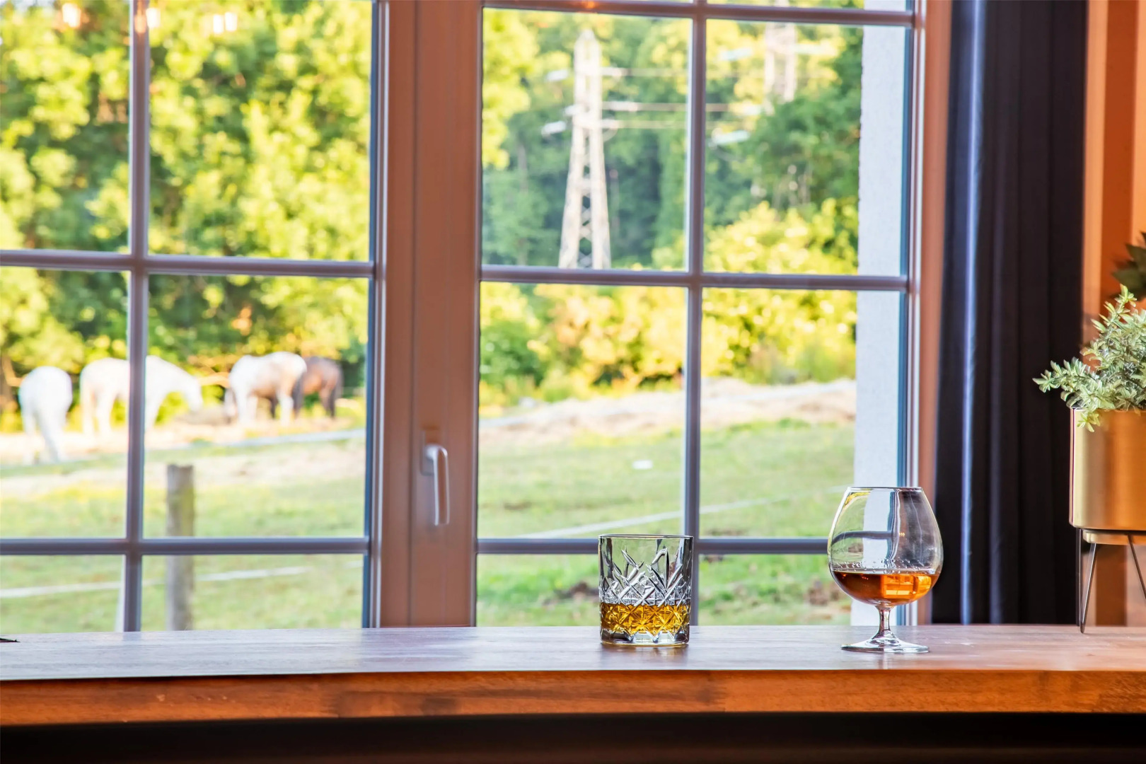 Sure Hotel by Best Western Port Jérome - Le Havre