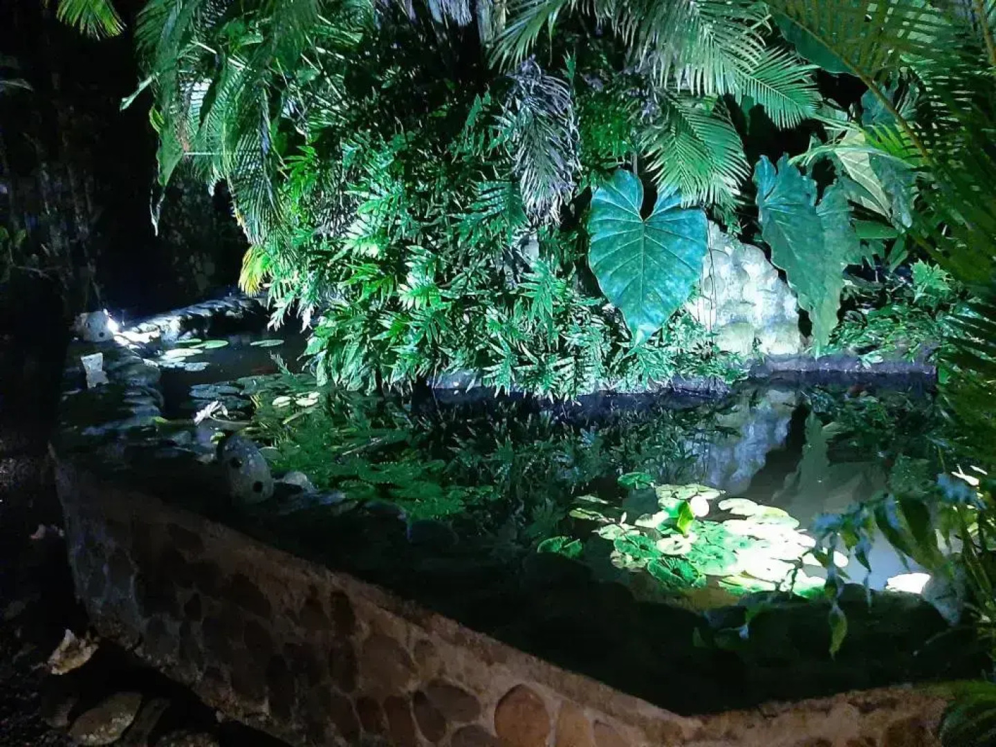 Les Gîtes de la Lézarde