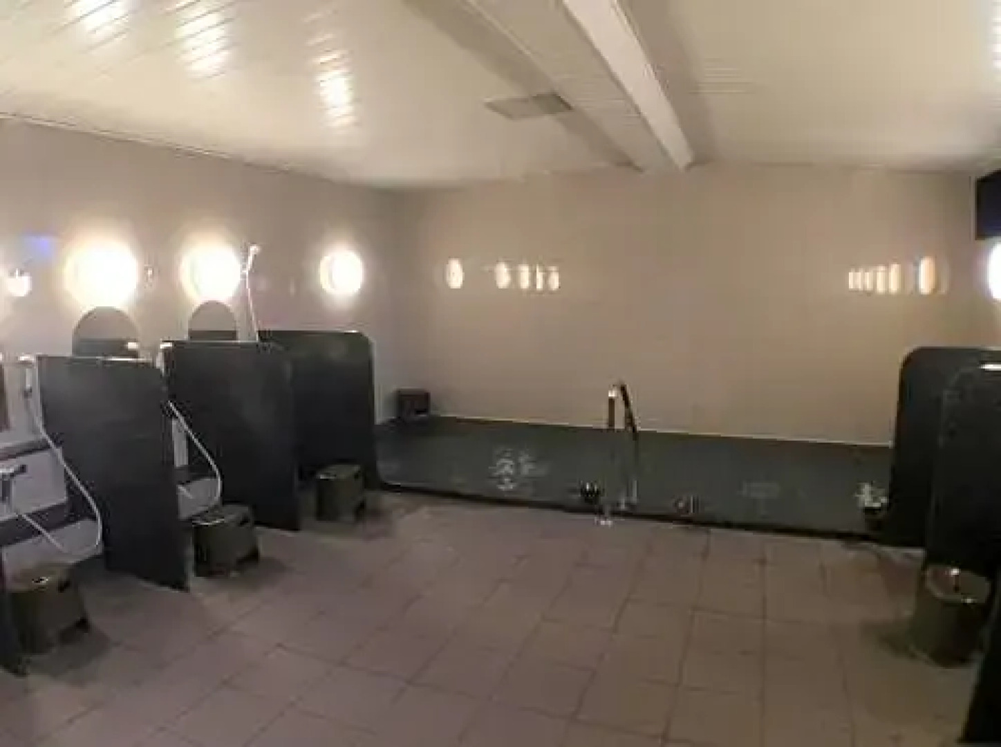 Plaza Hotel Furukawa