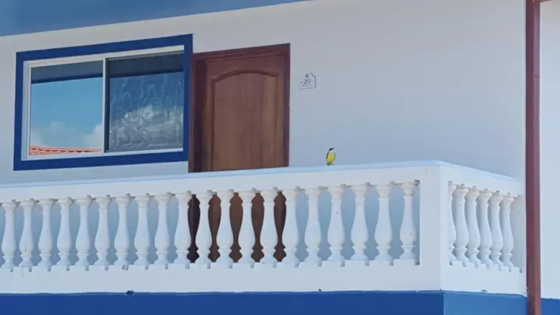 Hotel Grosseto Palma Real