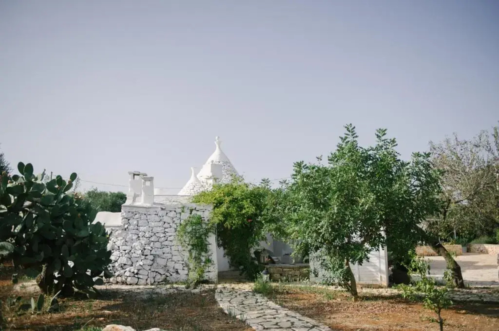 Fikus - the Apulian B&B