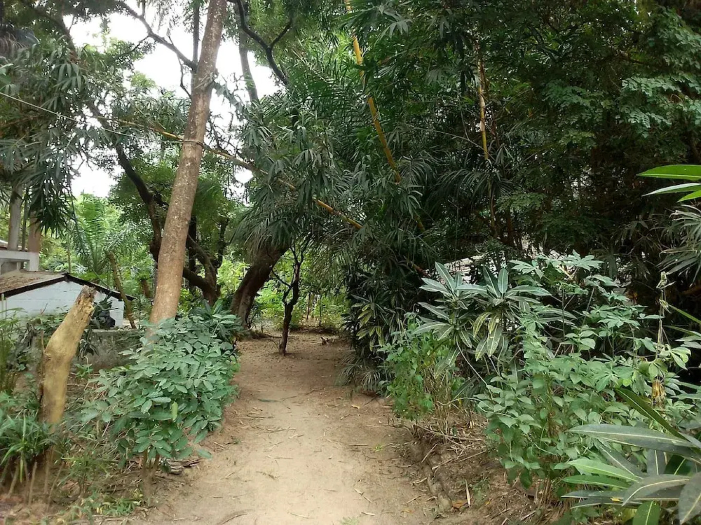 Campement Kunja kafountine