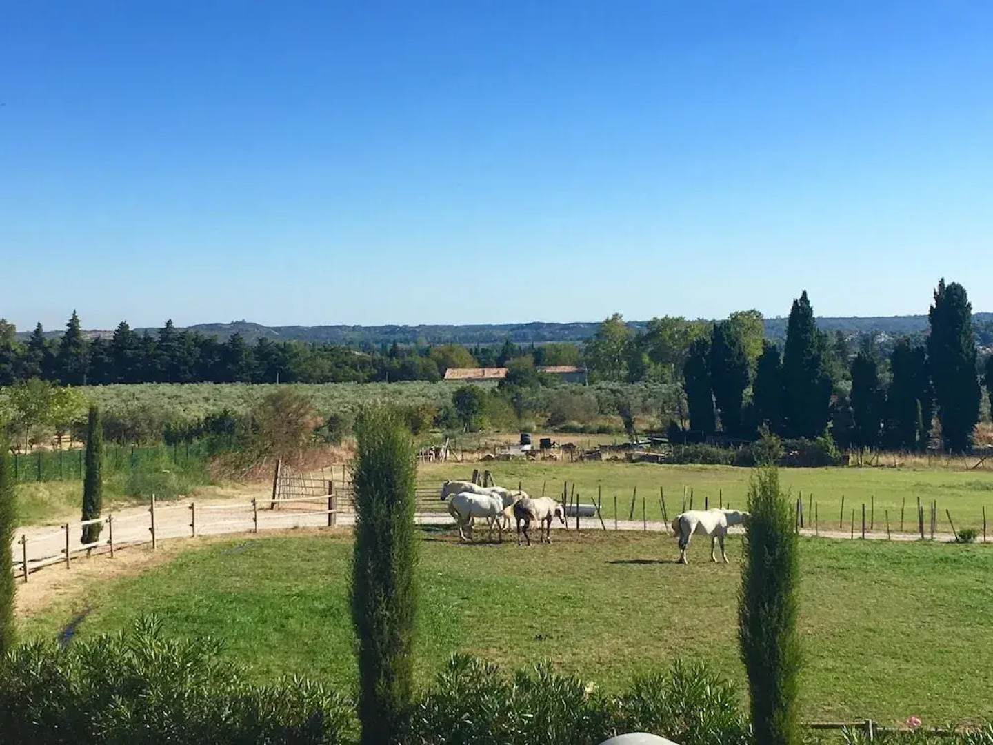 Apartment With one Bedroom in Maussane-les-alpilles, With Pool Access, Enclosed Garden and Wifi