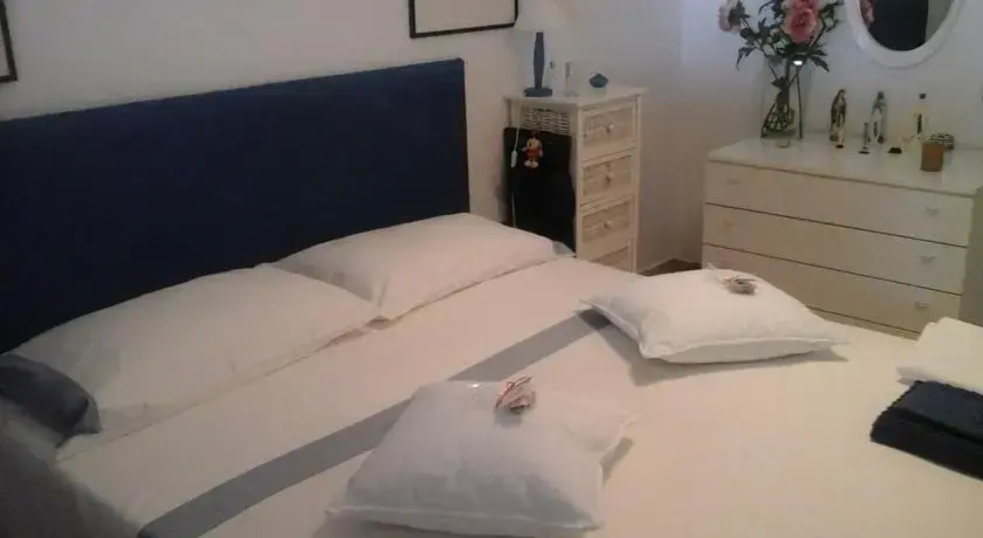 White and Blue Holidays