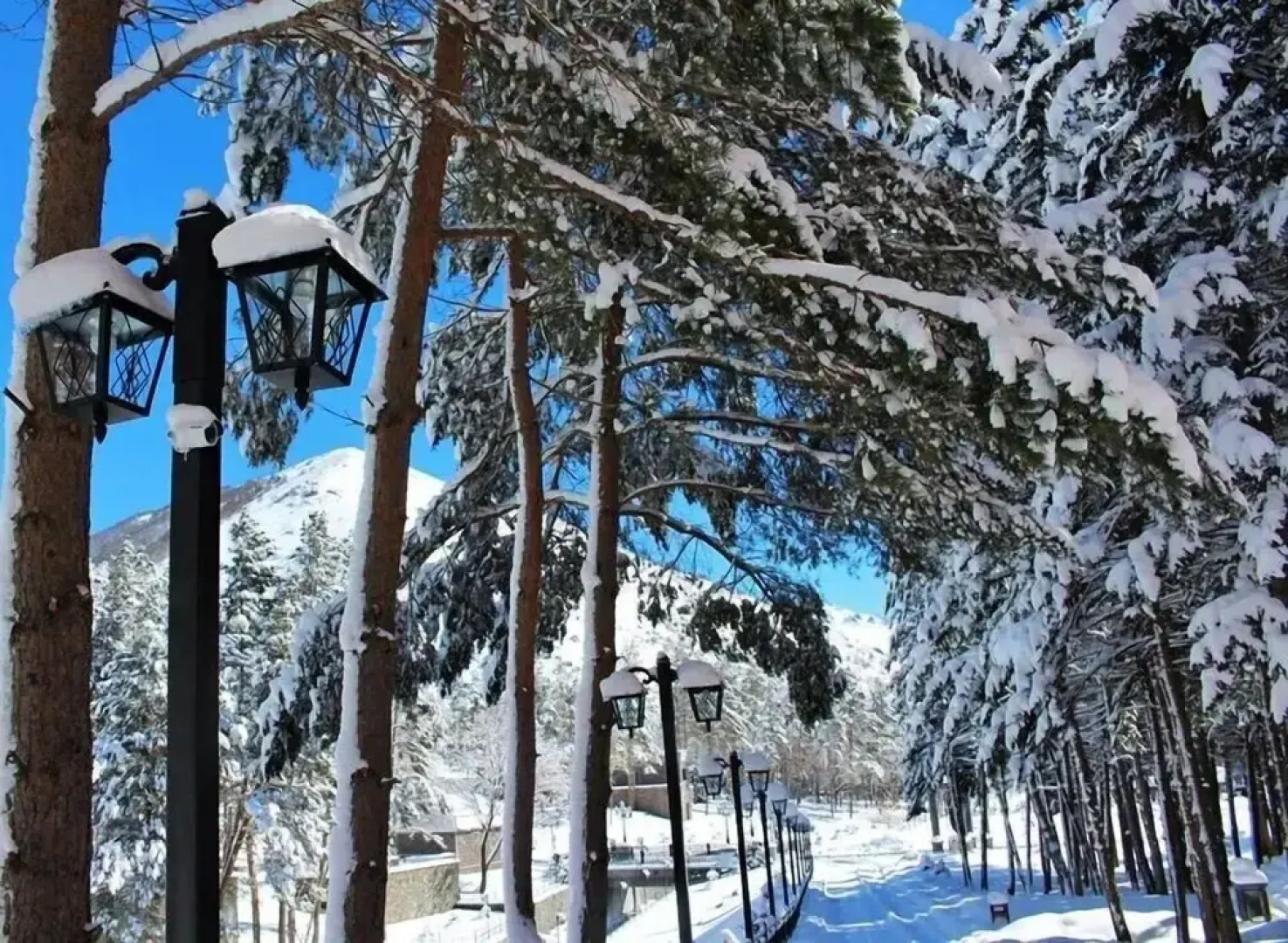 Nairi Hotel SPA Resorts