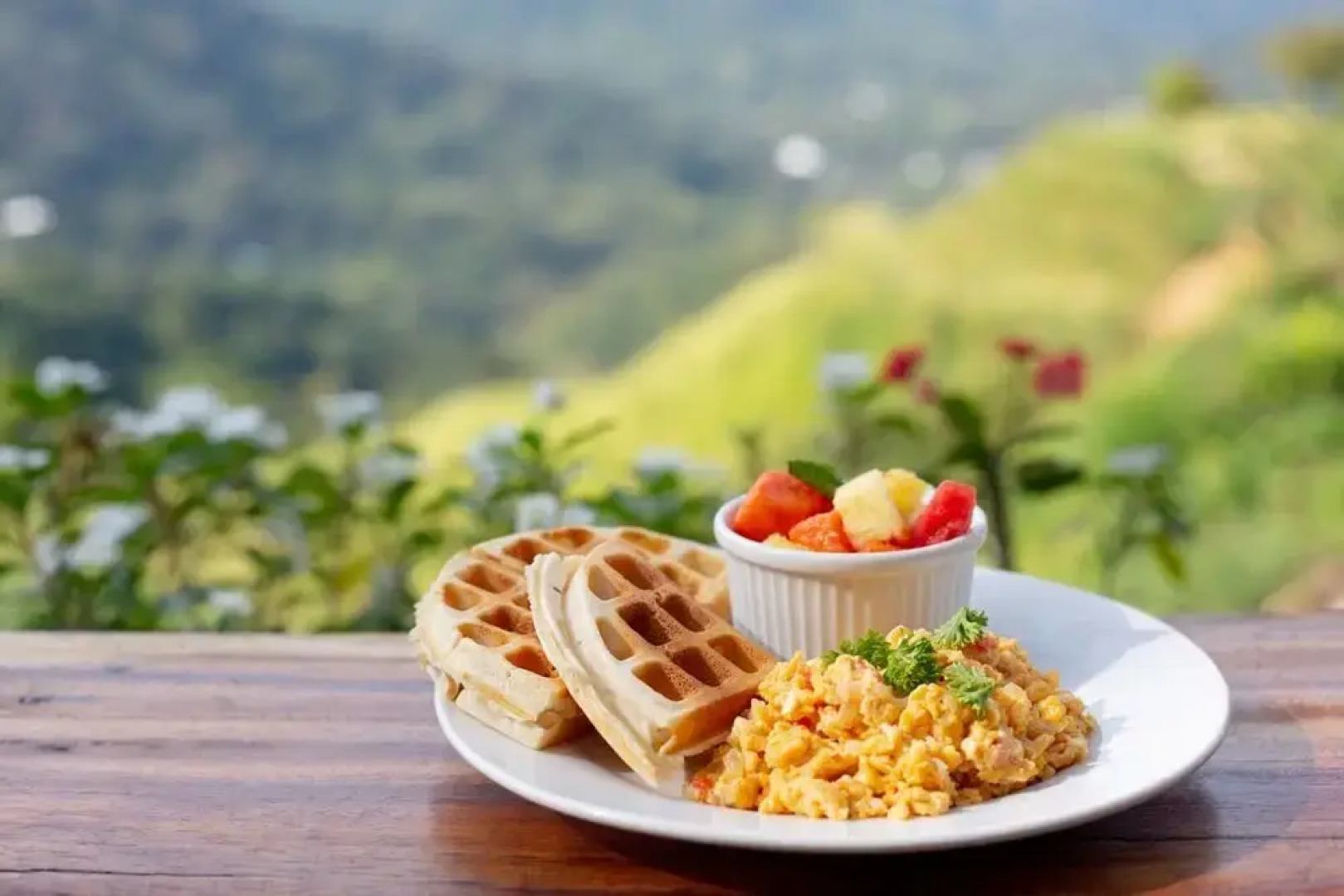 Mundo Nuevo Eco Lodge