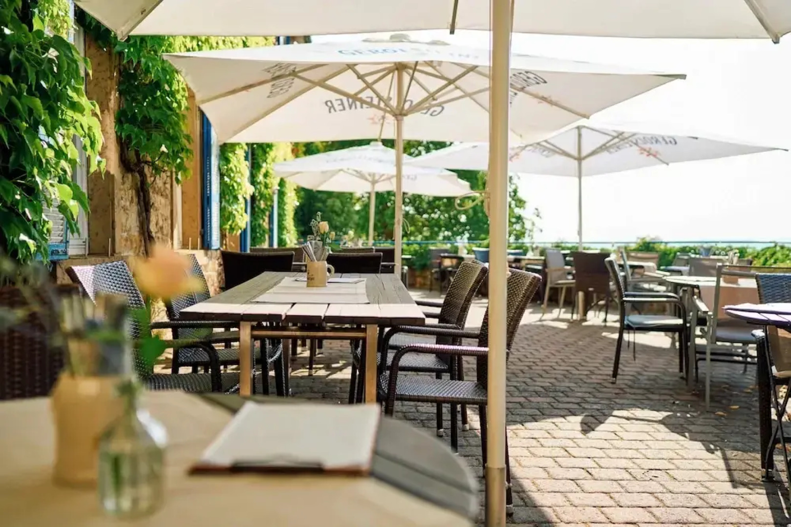 Hofgut Wißberg - Das Weinberghotel