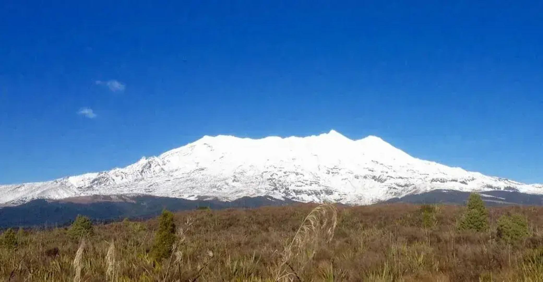 StDavids Ruapehu