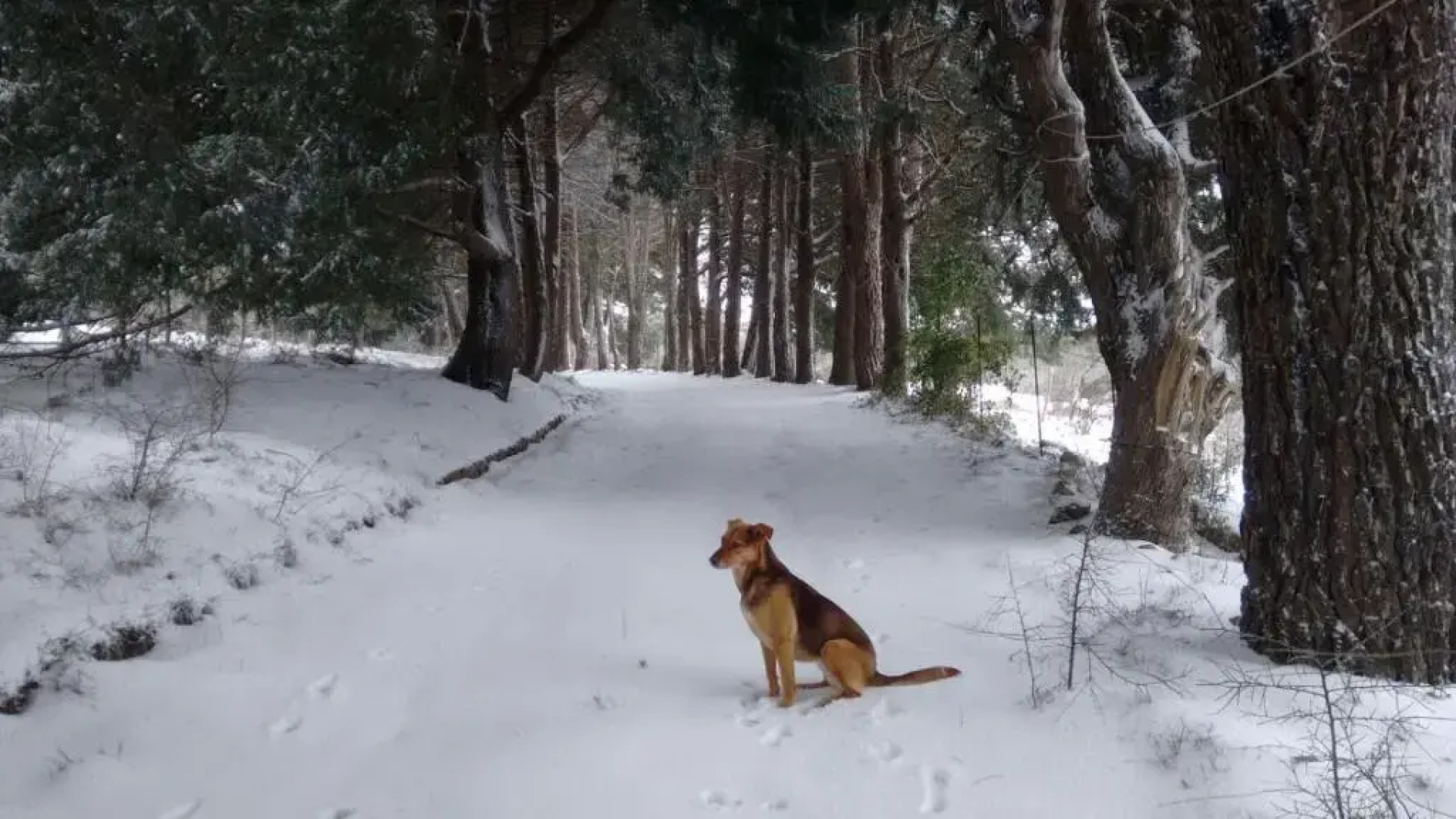 Agriturismo Bosco Pianetti