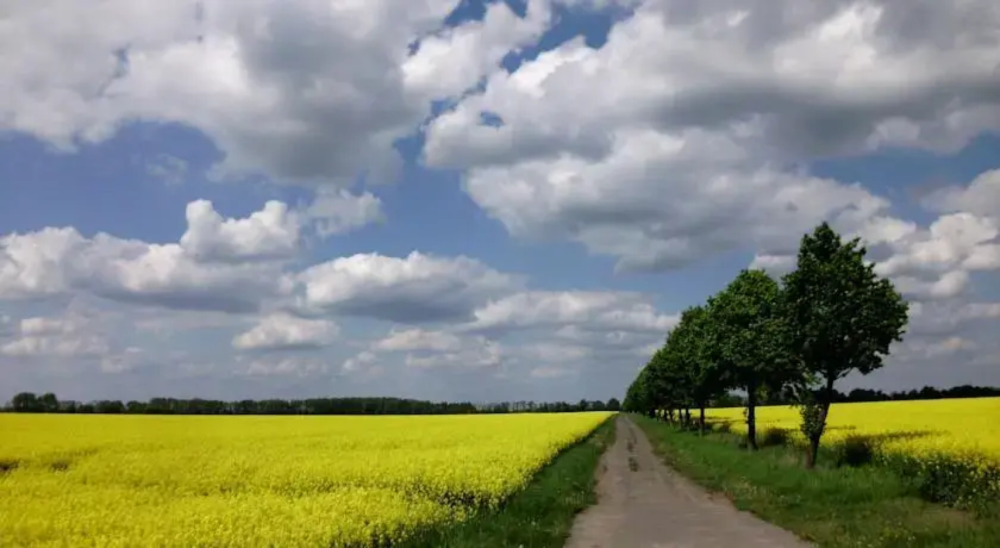 Pension am Radweg & Ristorante Juani