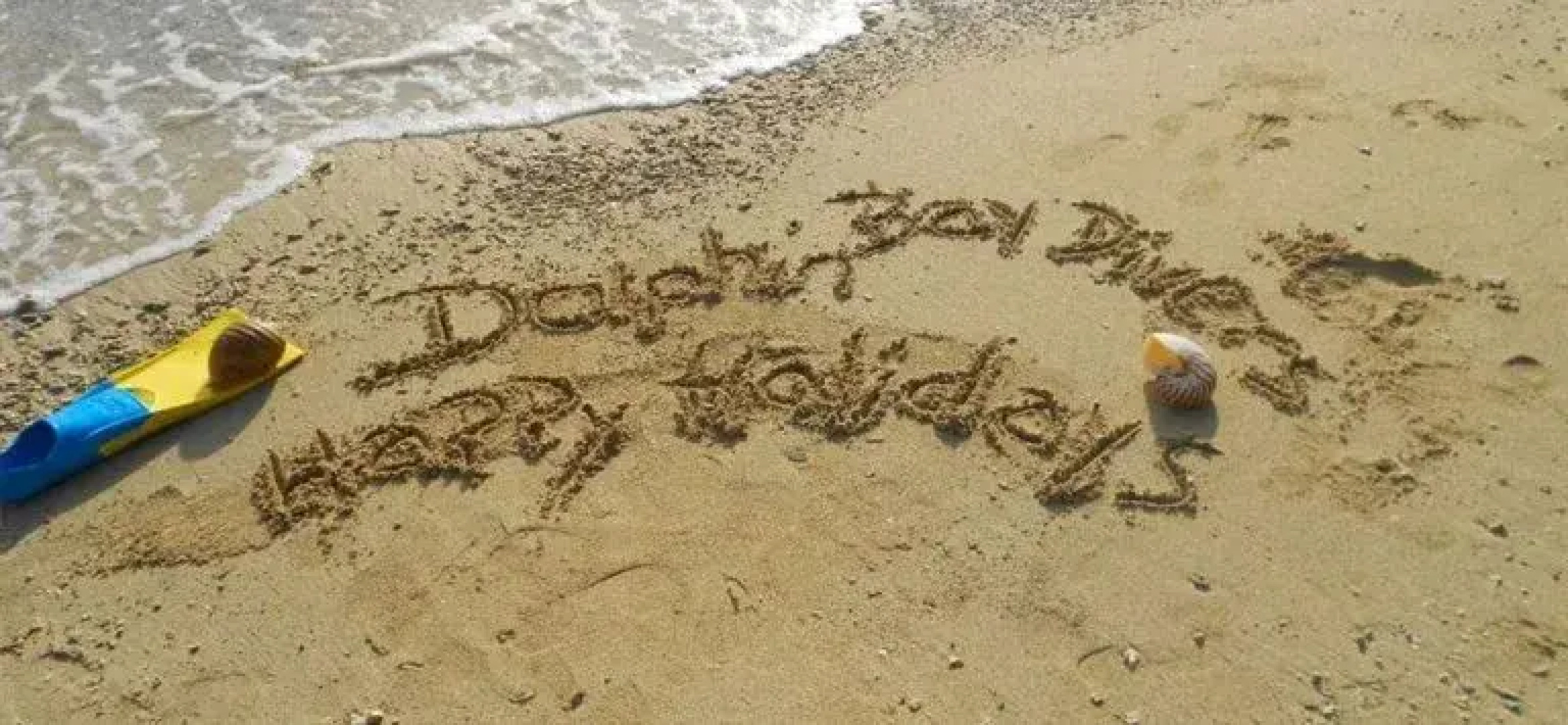 Dolphin Bay Divers Bungalow