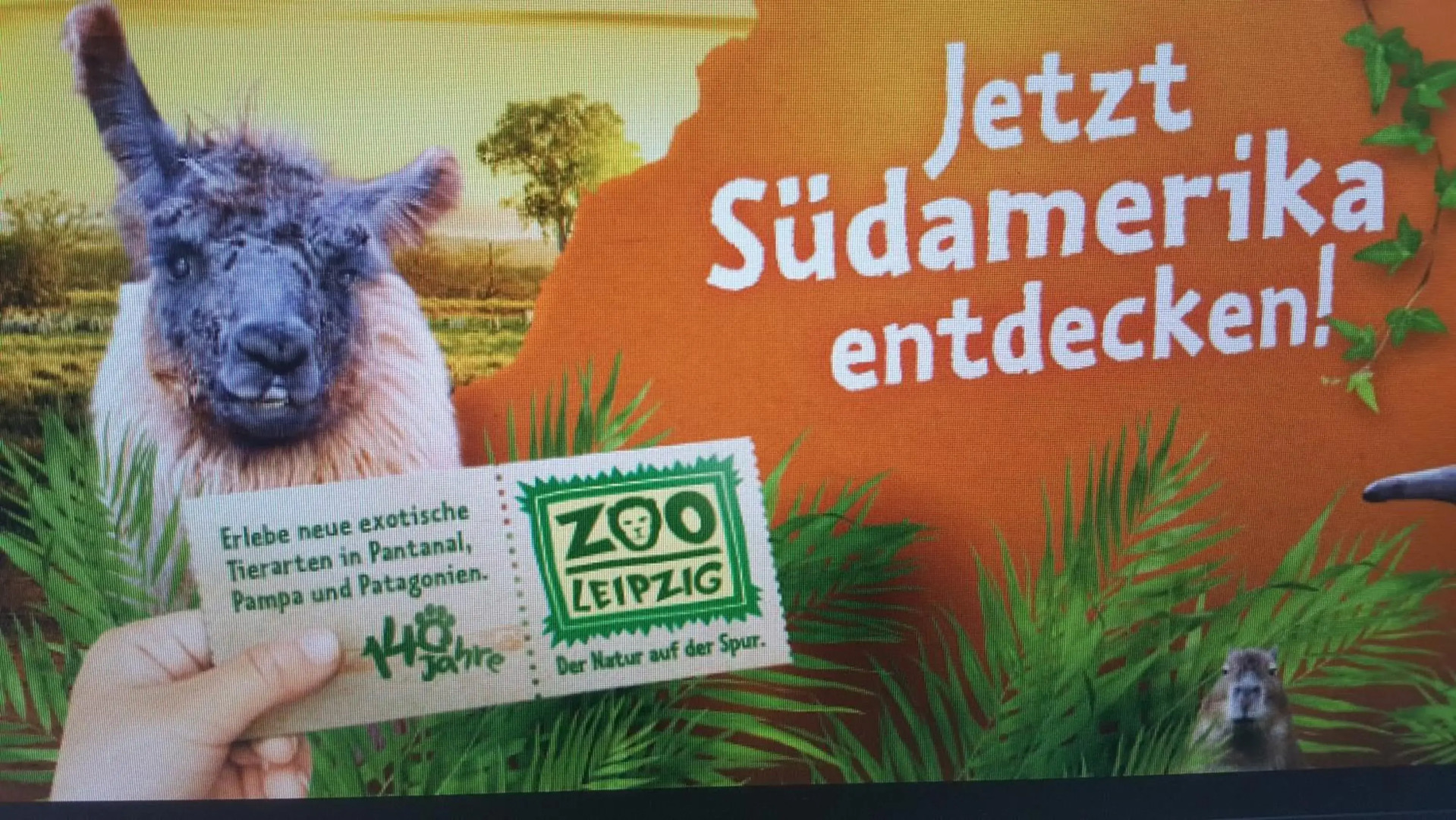 Pool & Lake Holiday Home