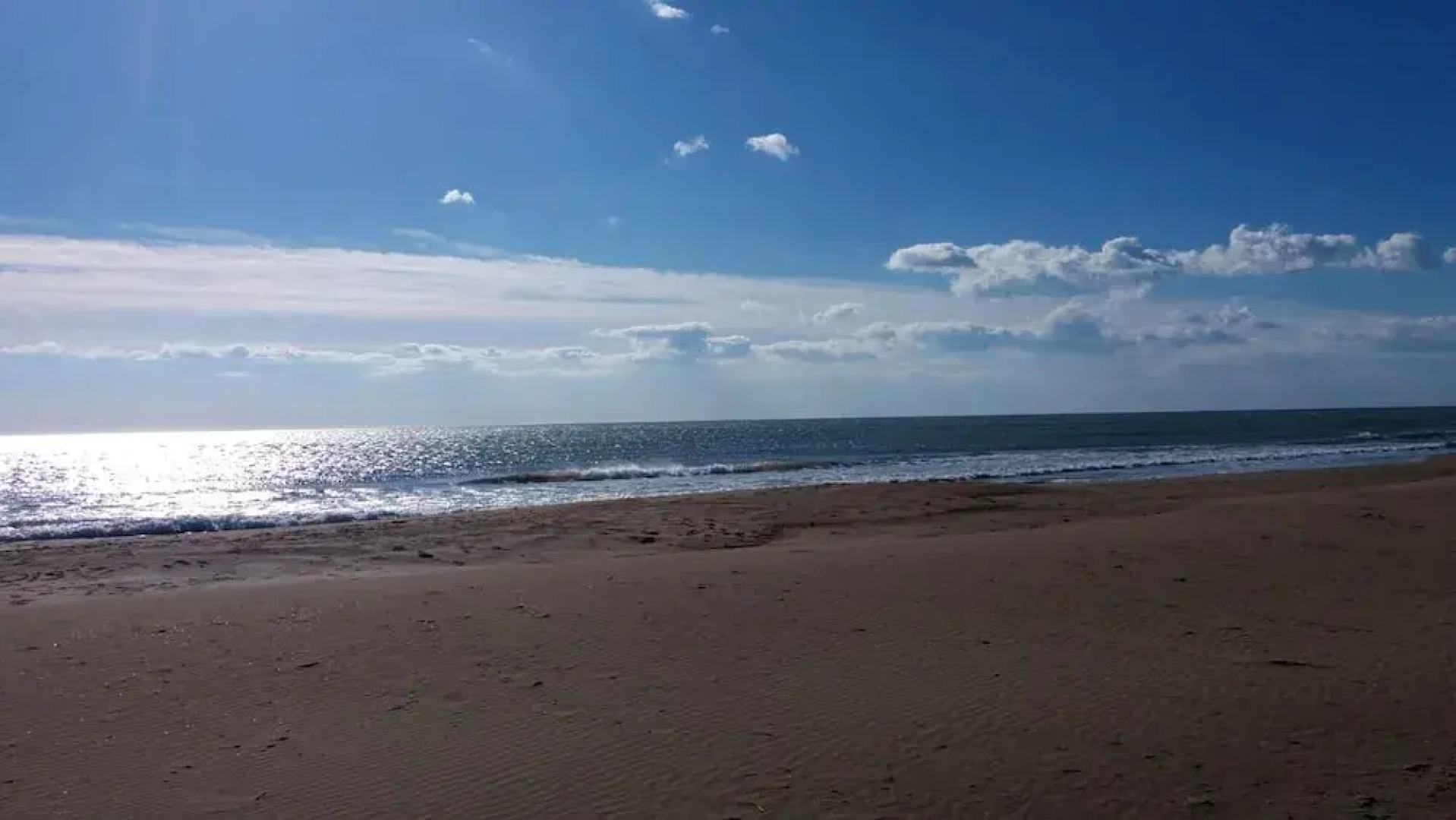 Apartment With one Bedroom in L'eucaliptus, With Wonderful sea View, Shared Pool and Furnished Terrace - Near the Beach