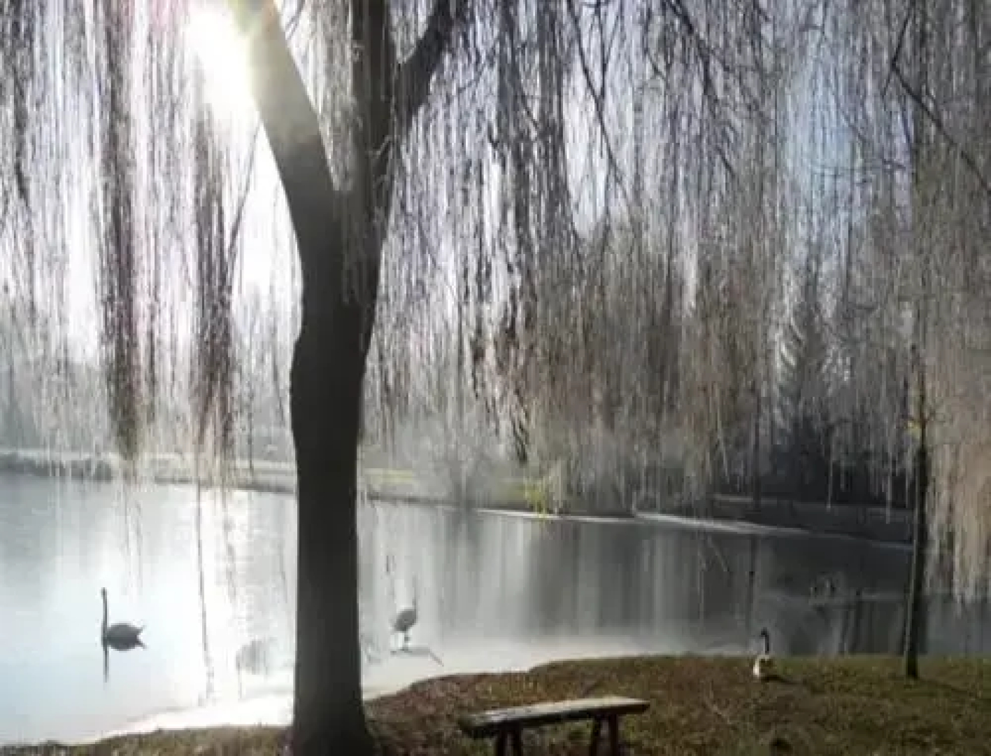Camping De LAigrette