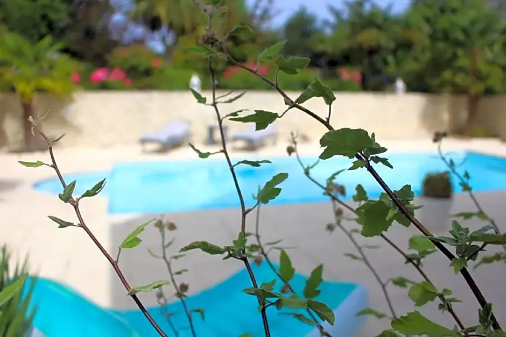 Au Jardin d'Etaville