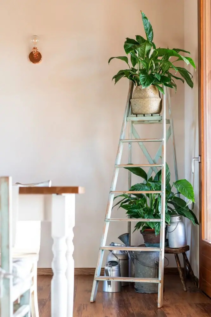 Agriturismo da Zeffi