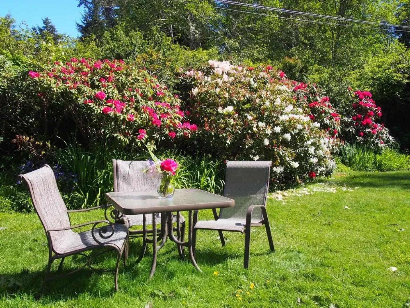 South Chestermans Beach Retreat