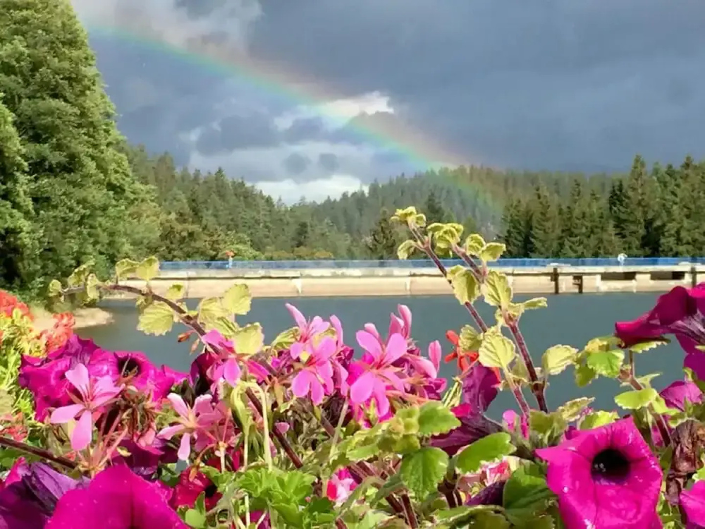 Kickelhahn Comfortable Holiday Residence