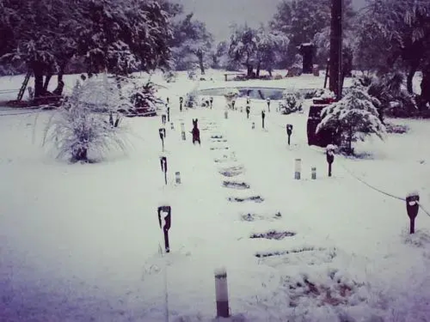 Il Casale Del Barone