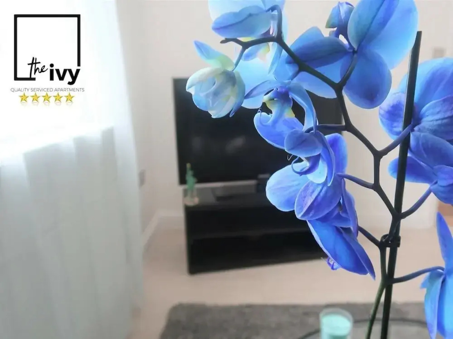 The Ivy Serviced Apartments