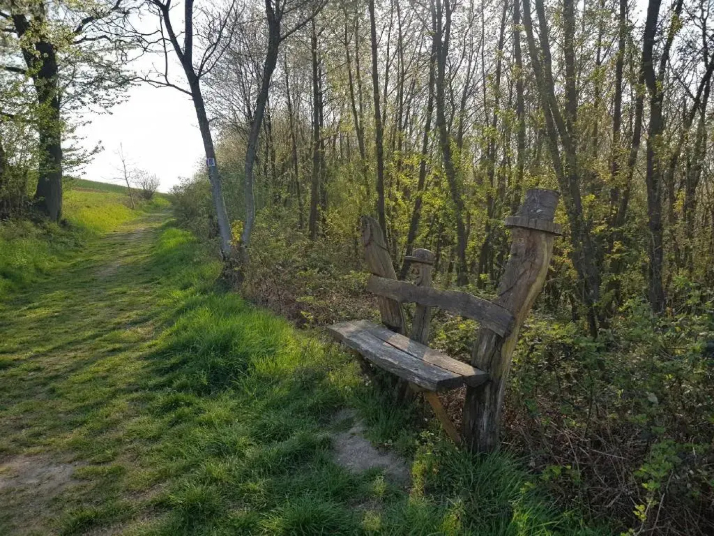 Ferienapartment im Augustinus Park