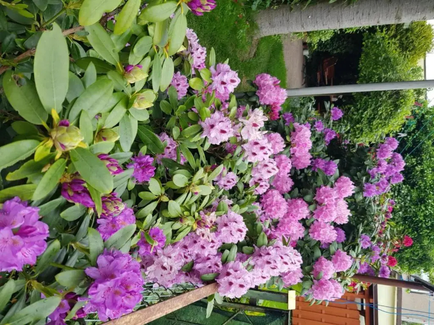 Dom Wypoczynkowy Anna