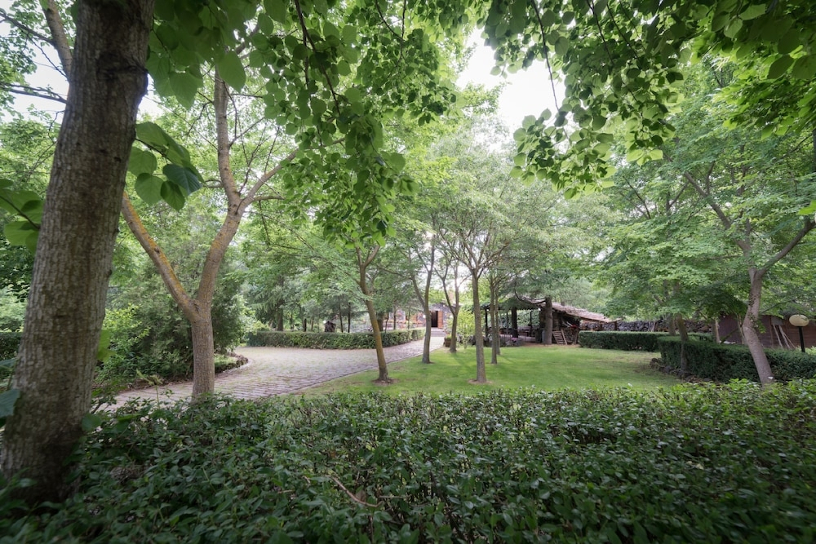 Villa Il Castagno Dell'etna