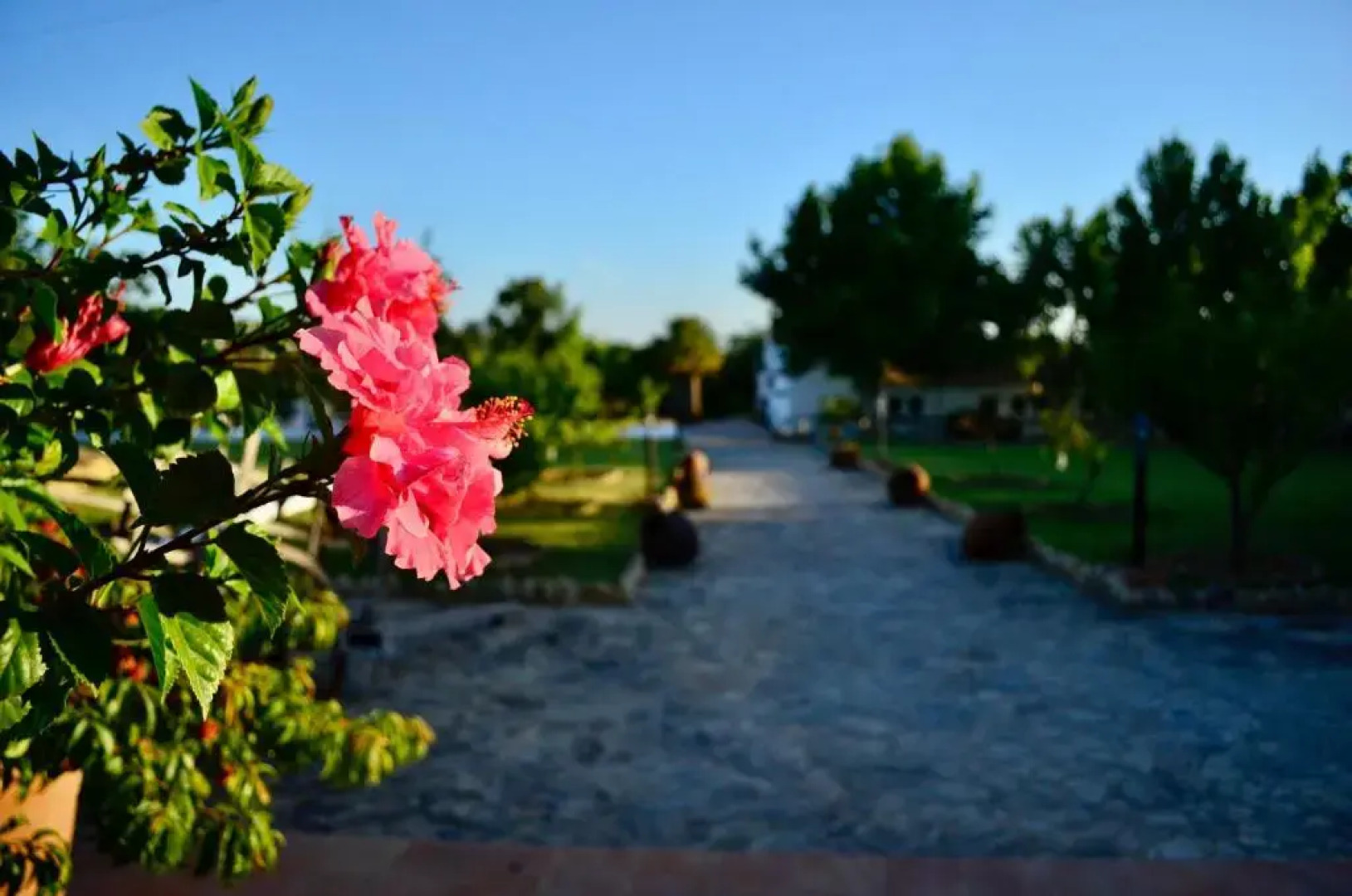 Cortijo Mesa de la Plata