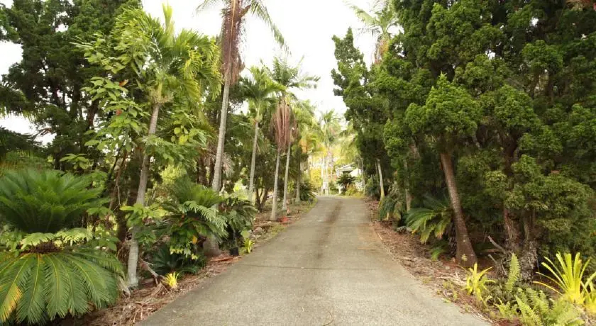 Green Lions Vacation Rental