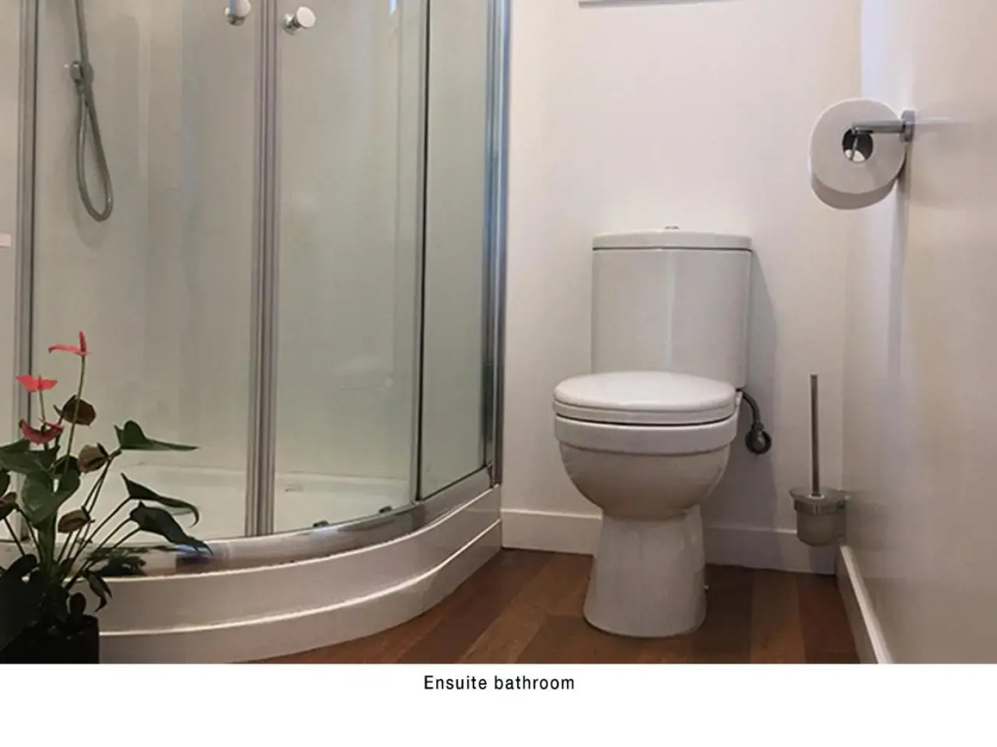 Akaroa Coastal Studio