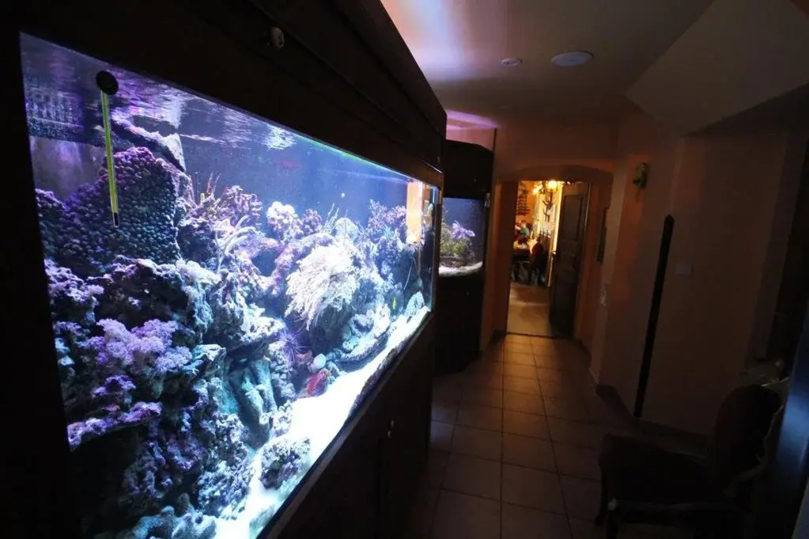 Pivovarský DvurePlasy