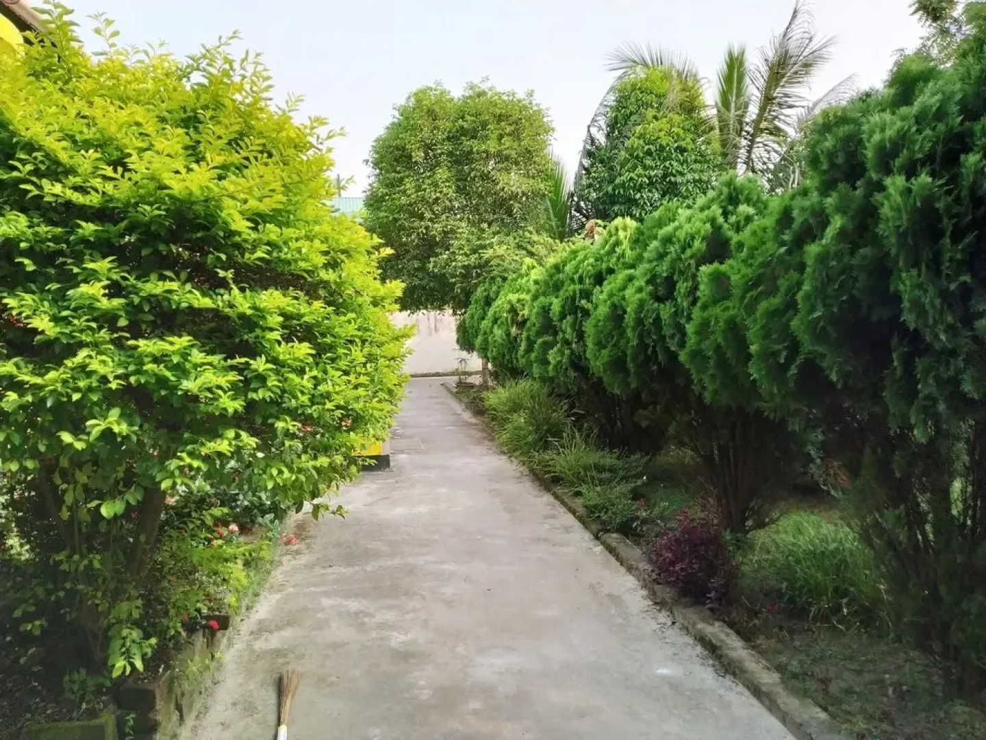 Green Ashiyana Palace
