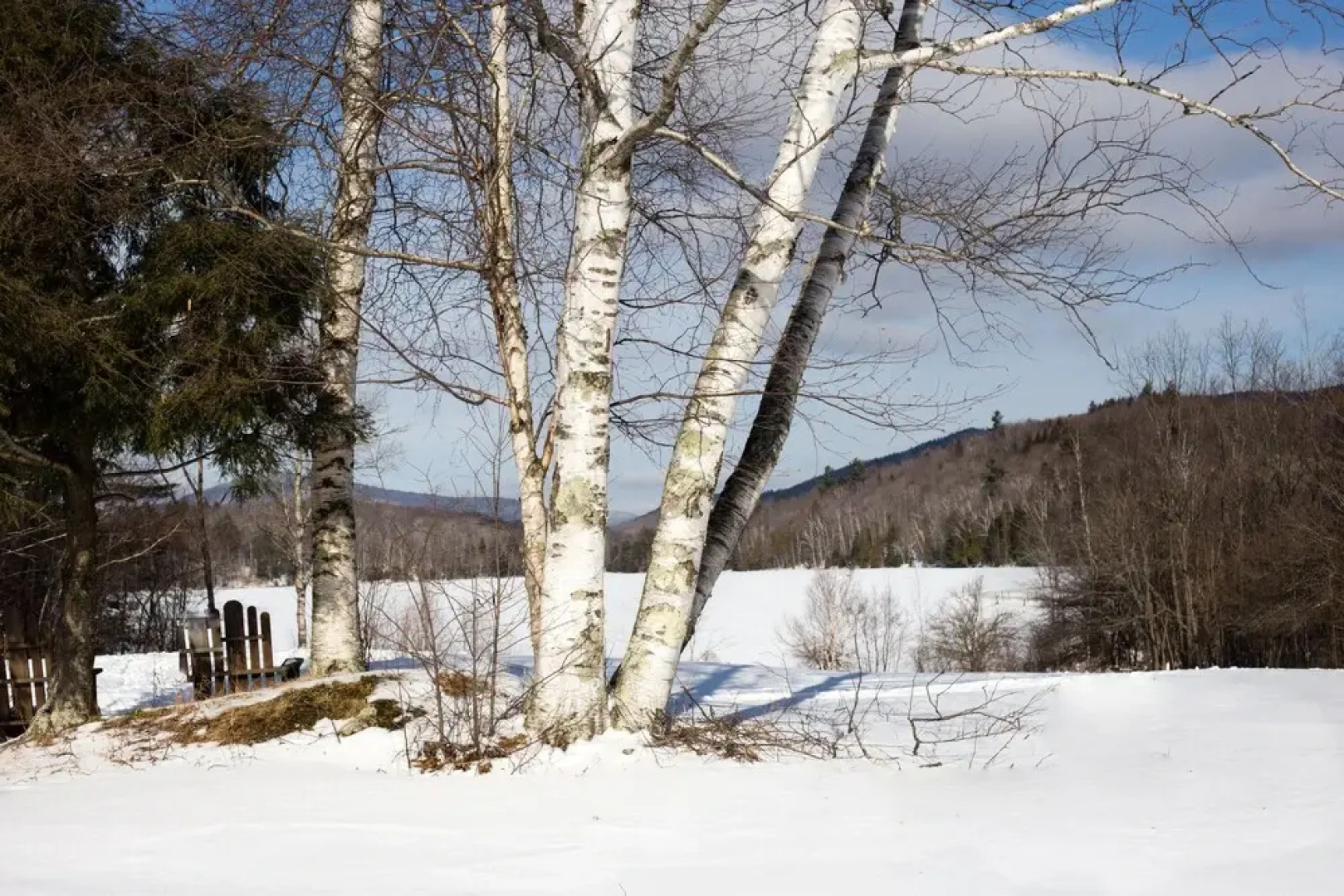 Mountain Meadows Lodge