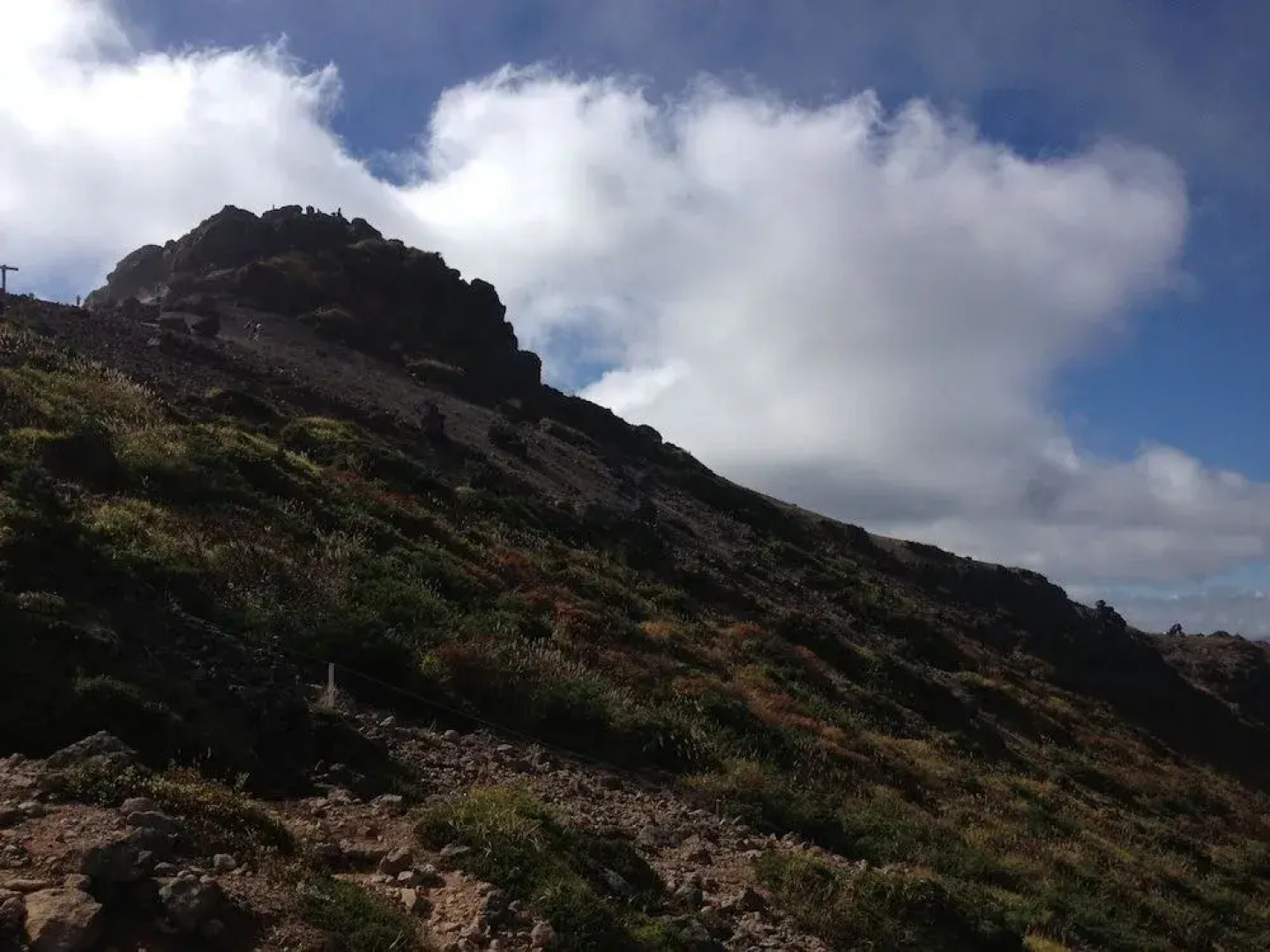 Youth Guest House ATOMA - Hostel