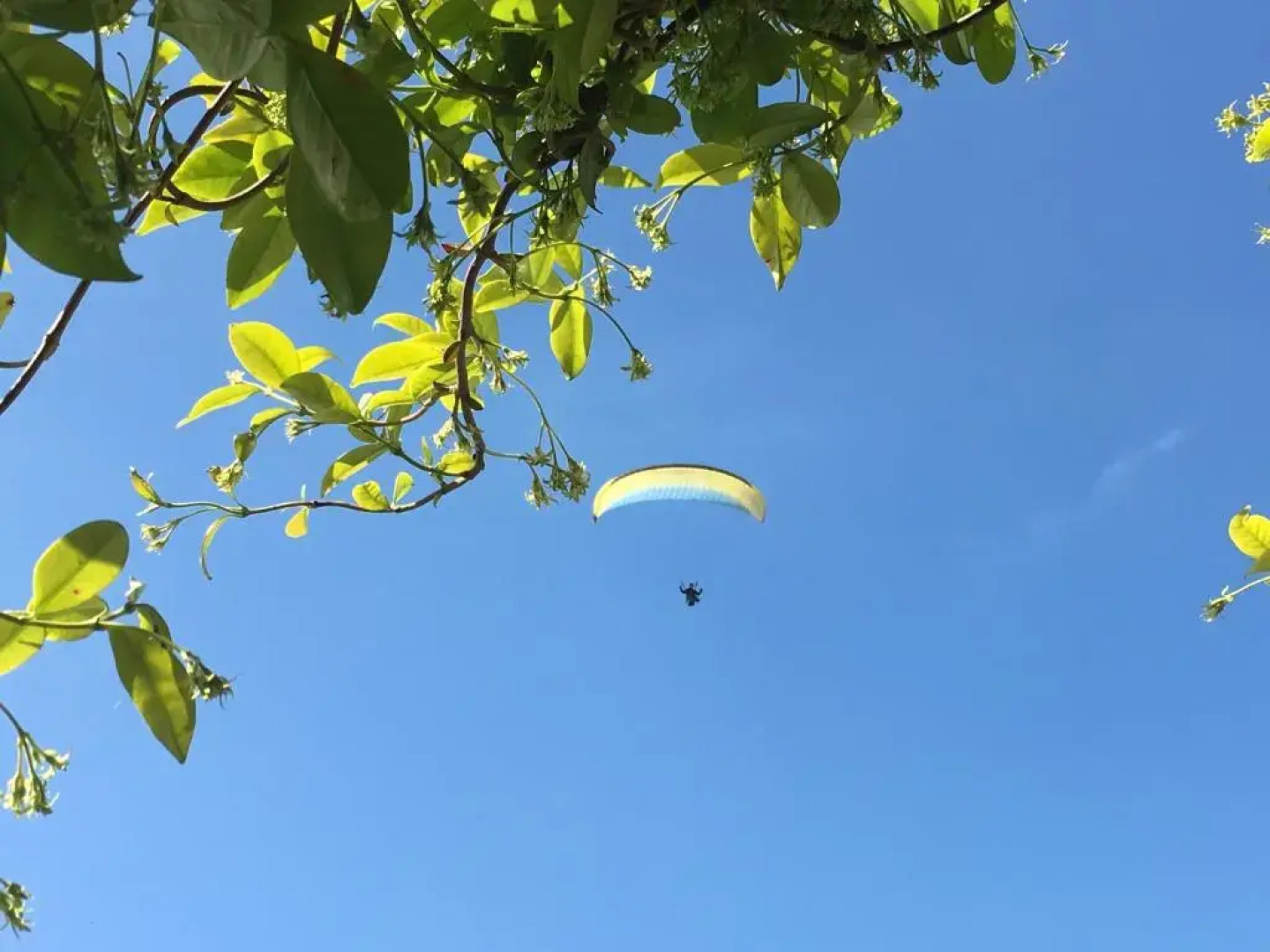 Residence Gonda&Giuliano