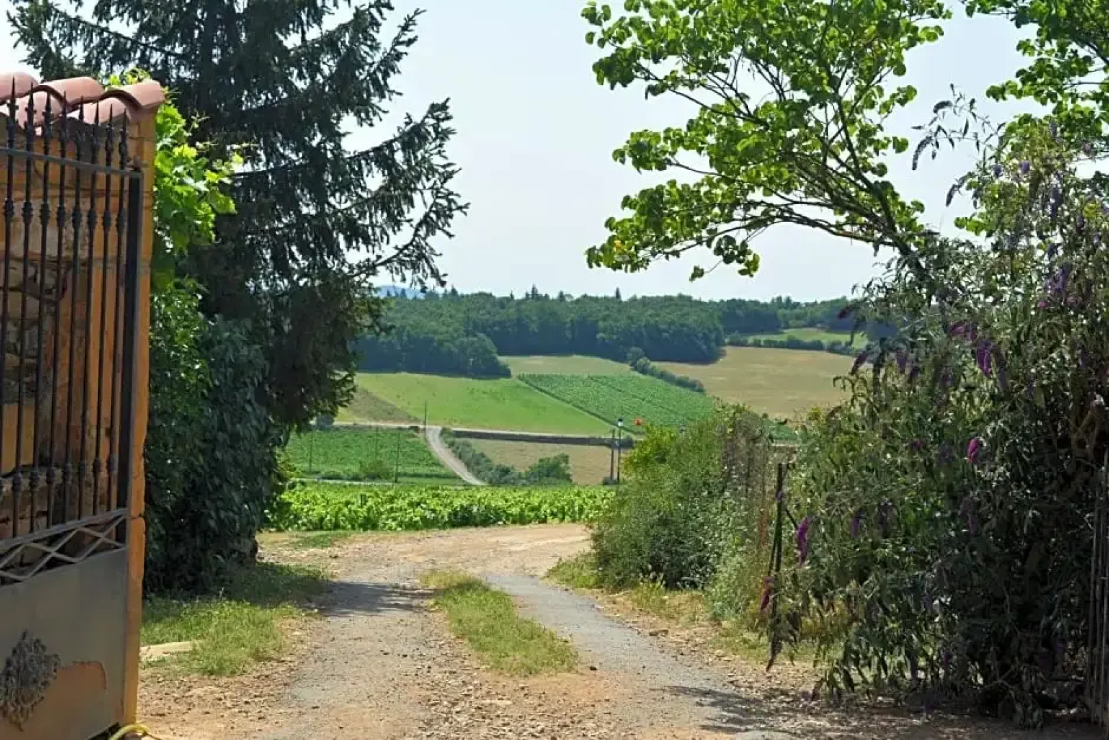 Domaine des Aloets