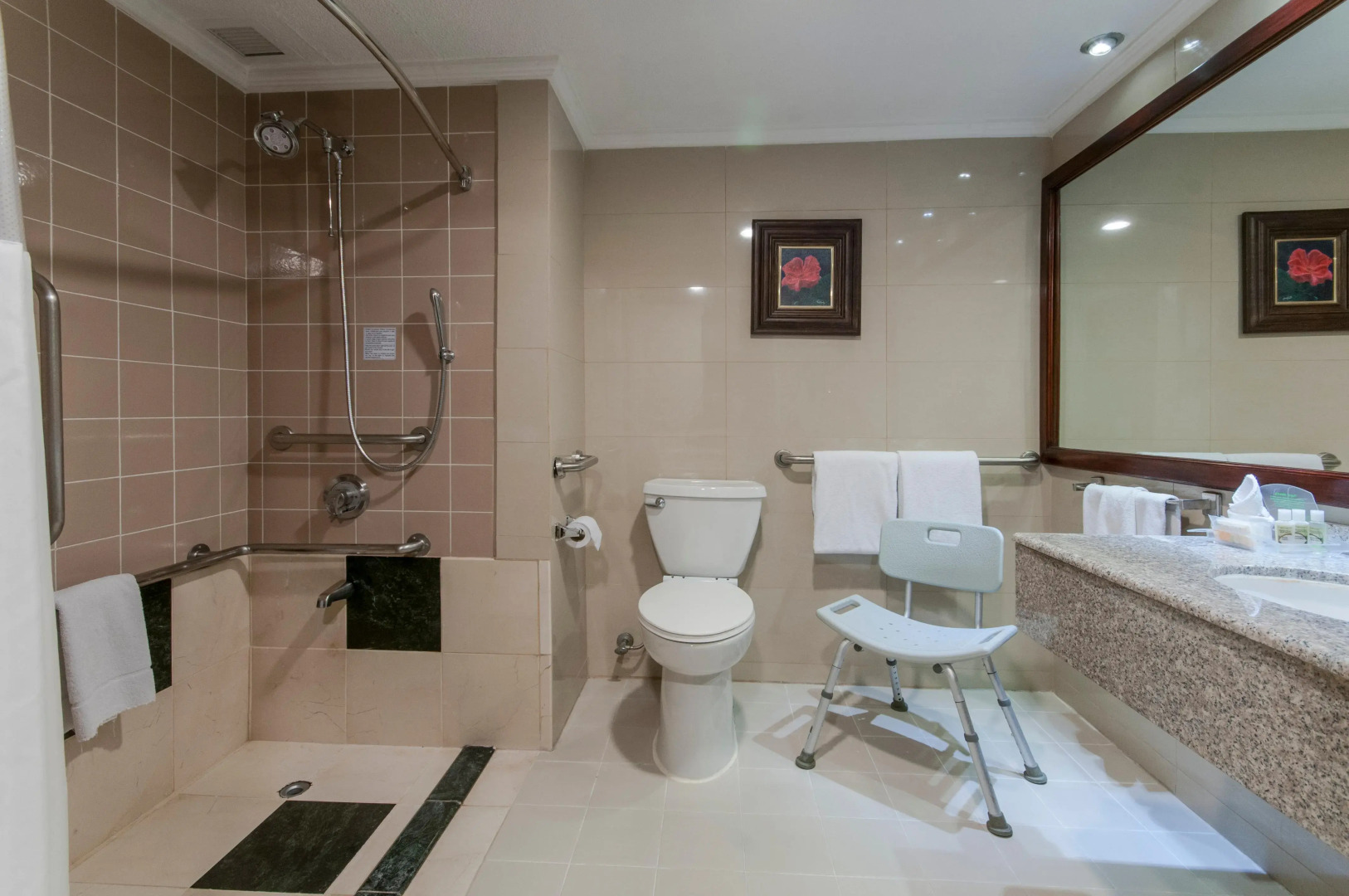 Delta Hotels by Marriott San Jose Aurola