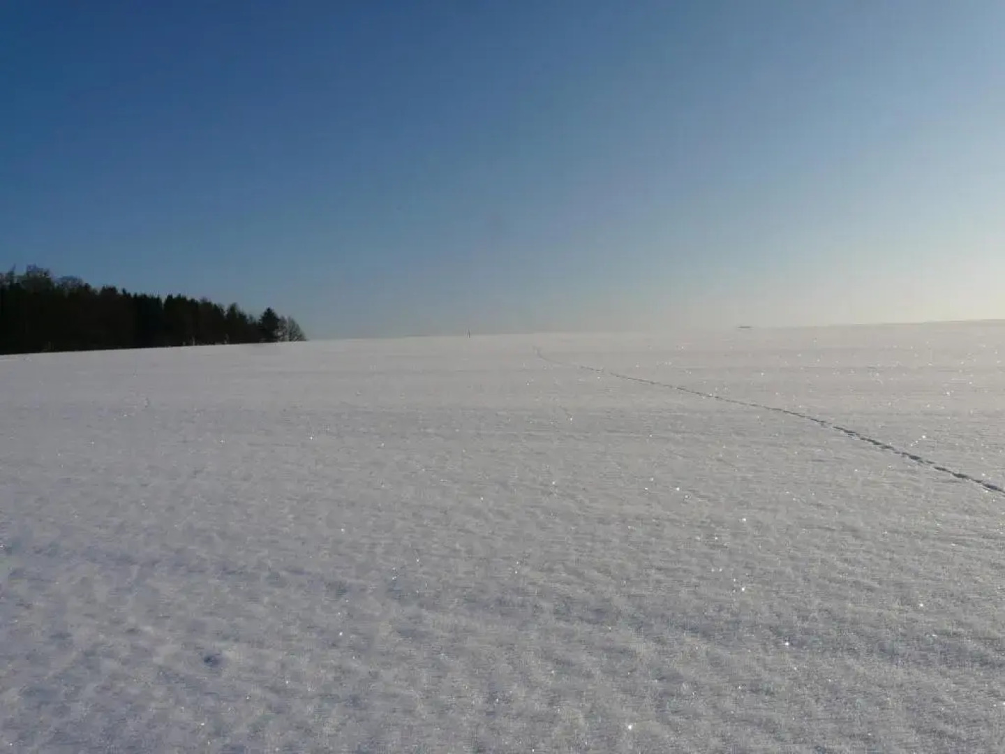 Ferienwohnung Udo und Stefani Laux