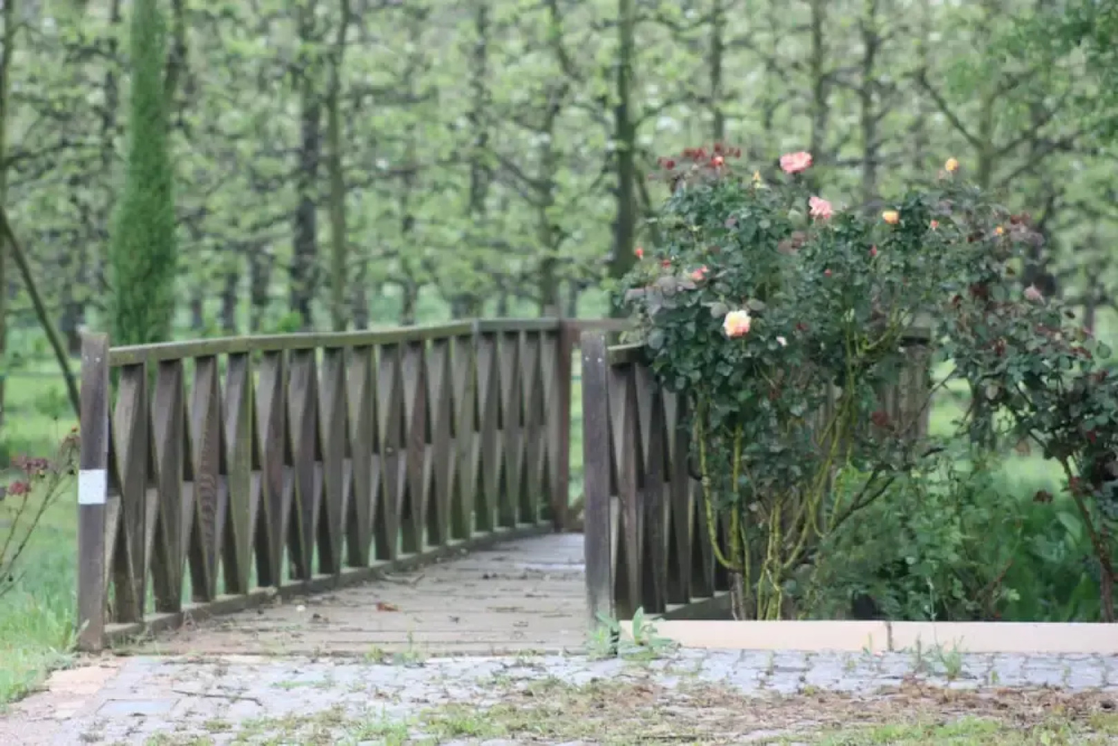 Quinta do Porto Nogueira