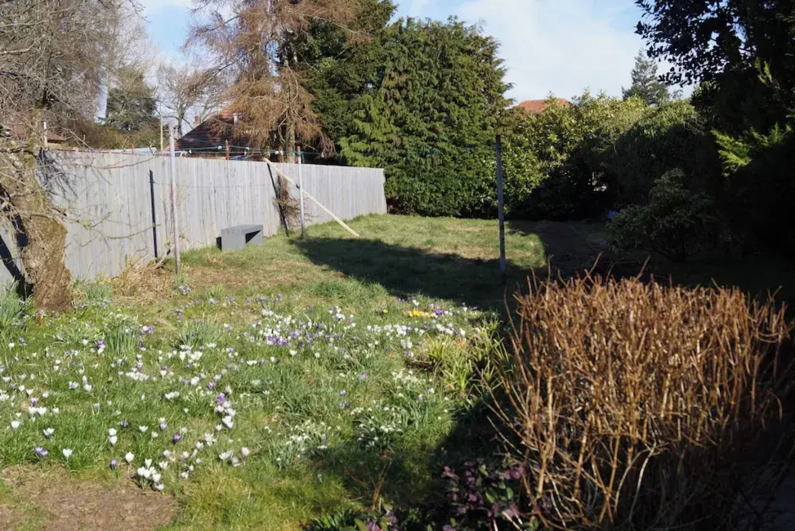 3-bed Cottage With Garden in Kirriemuir Centre