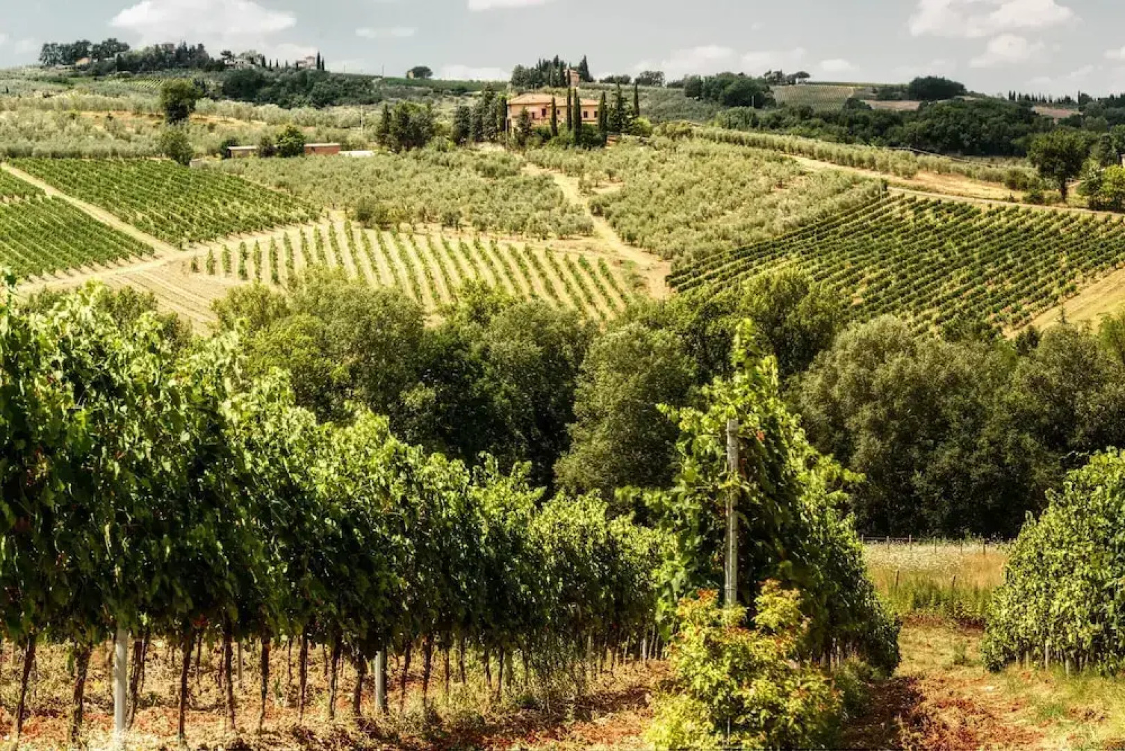 Villa Paola Private Pool Gym in Chianti