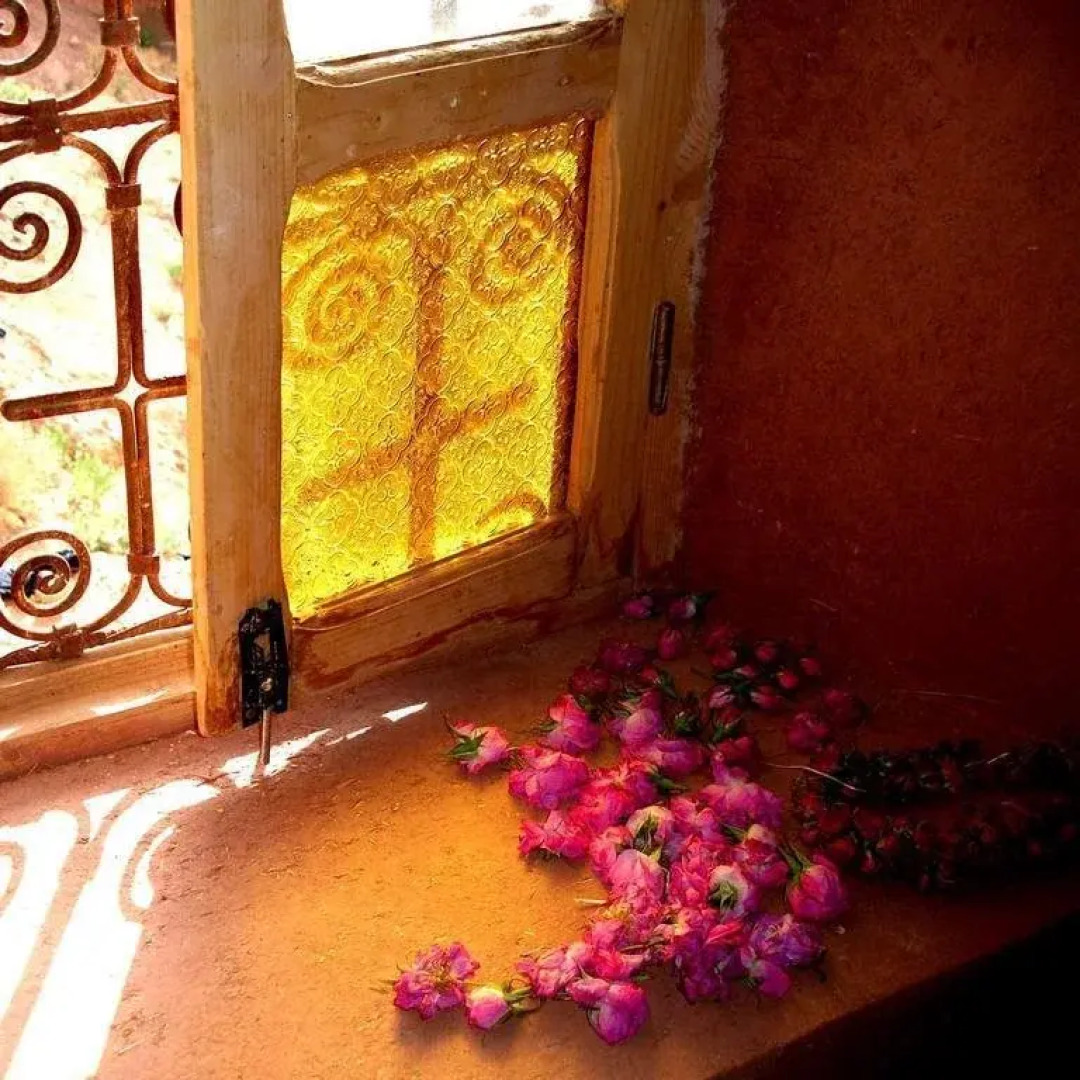 Les jardins de Mgoun