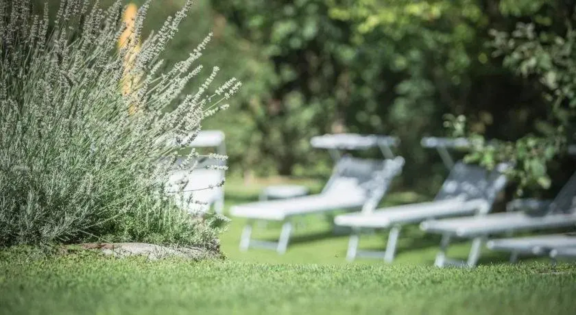 Hotel Garni Andrianerhof